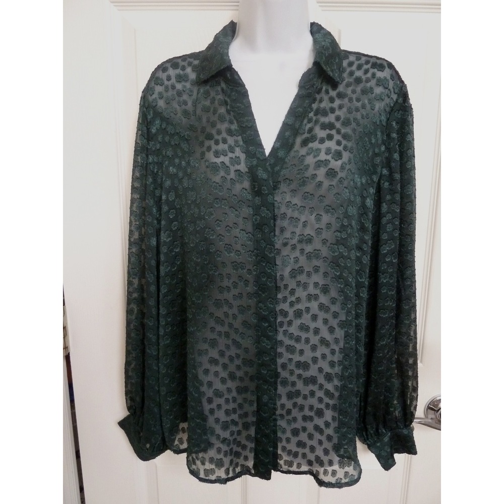 CHICO'S Sz 2=12 Large Sheer Embossed Blouse Button Up Balloon Sleeves Office